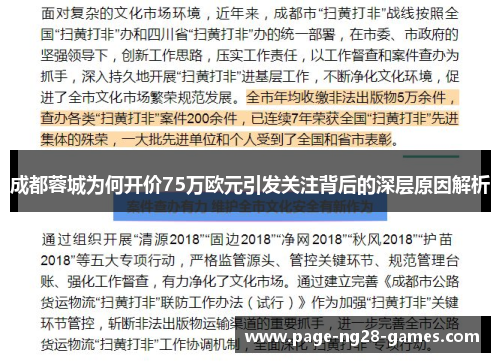 成都蓉城为何开价75万欧元引发关注背后的深层原因解析