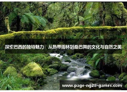 探索巴西的独特魅力：从热带雨林到桑巴舞的文化与自然之美
