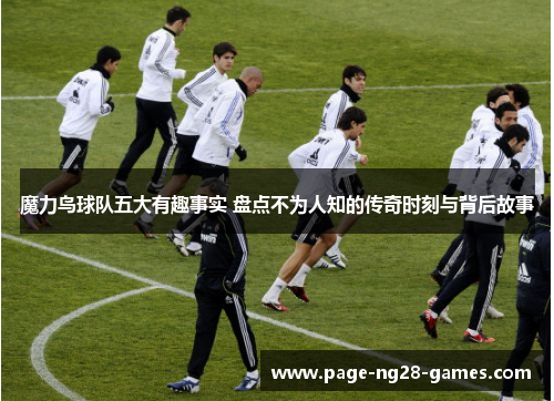魔力鸟球队五大有趣事实 盘点不为人知的传奇时刻与背后故事 魔力鸟球队五大有趣事实 盘点不为人知的传奇时刻与背后故事