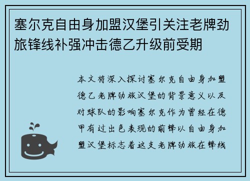 塞尔克自由身加盟汉堡引关注老牌劲旅锋线补强冲击德乙升级前受期 塞尔克自由身加盟汉堡引关注老牌劲旅锋线补强冲击德乙升级前受期